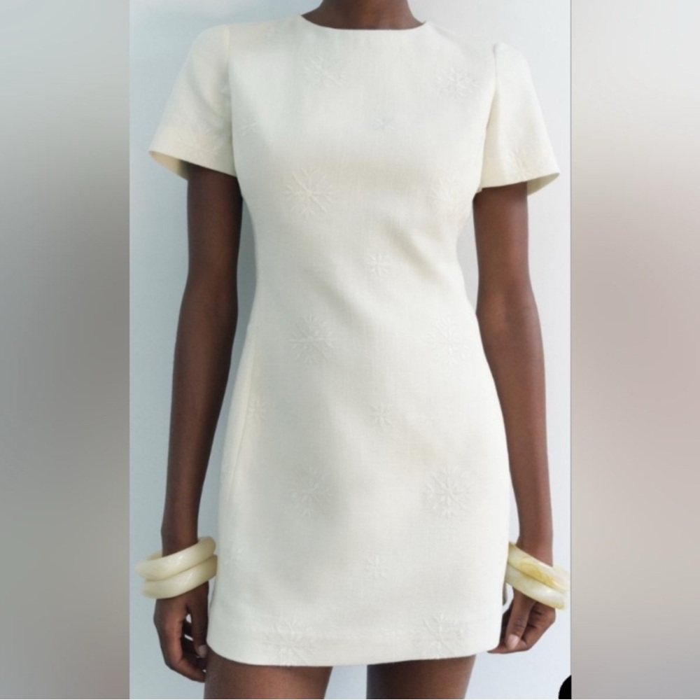NWT - Zara Embroided Dress